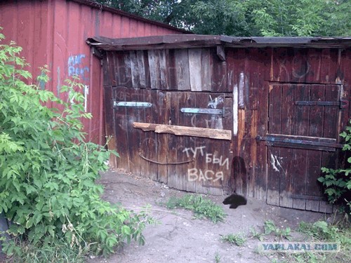 Улыбающийся гаражик