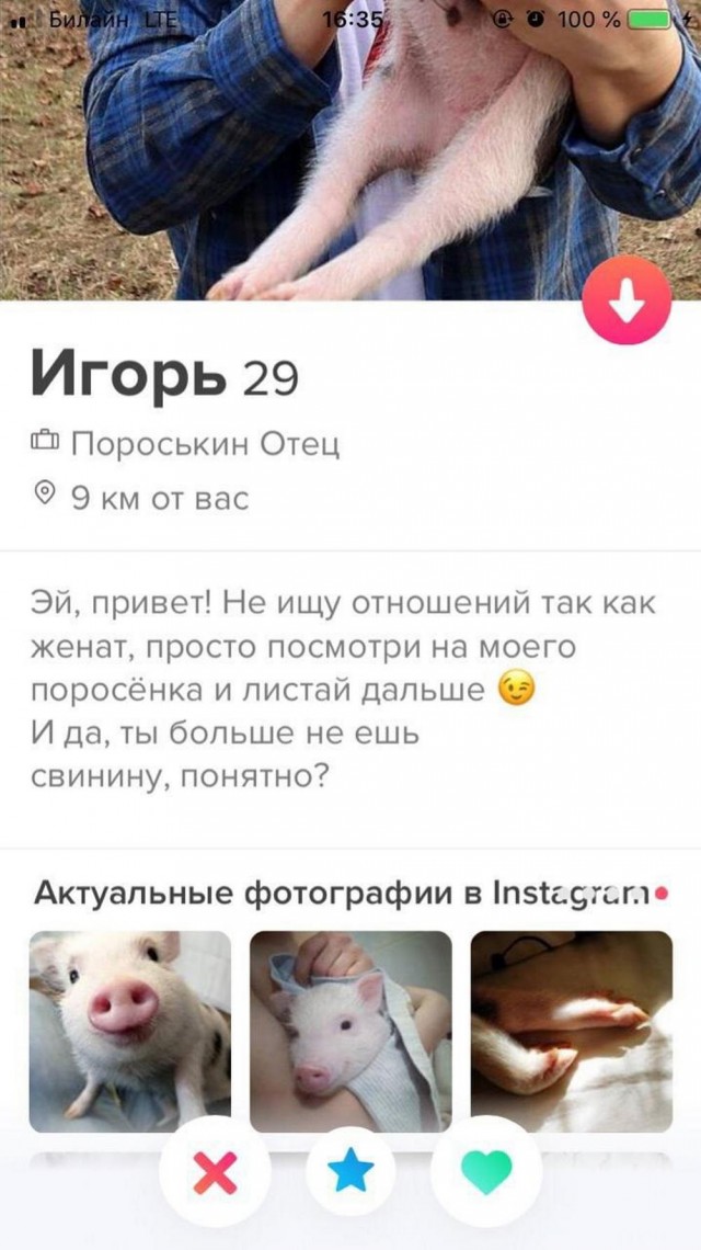 Всего понемногу. От 27.02.2025
