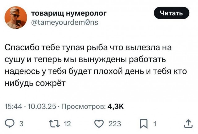 Так себе картинки 18.03.25