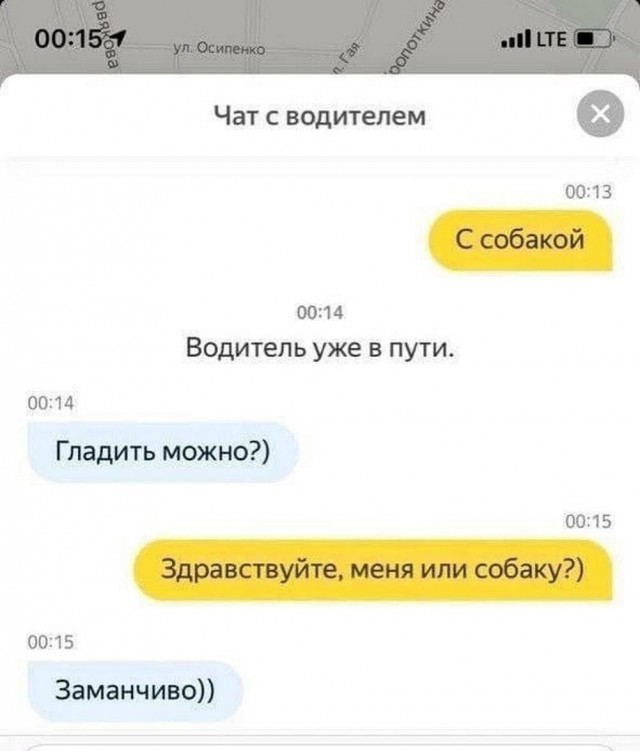 Веселые картинки в последний день марта (31.03)