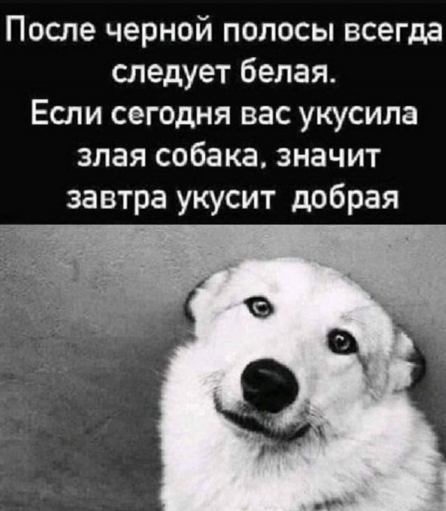 Интернет мемы на утро субботы