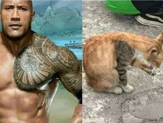 Не дотерплю до вторника