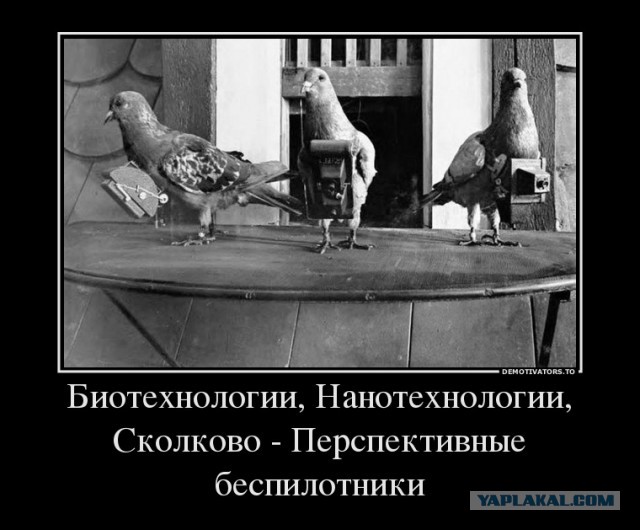 Перспективные беспилотники