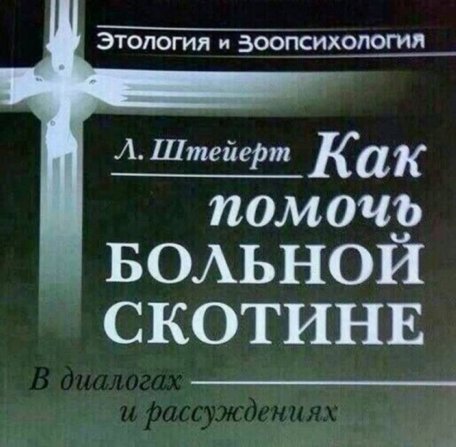 Картинки для деградации 40 (разной степени свежести)