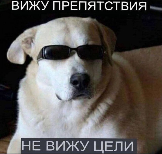 Веселое настроение в картинках (27.10.2025)