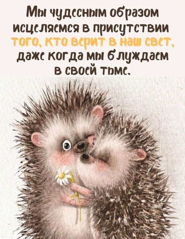 Прикольные и просто красивые картинки 18.11.2025