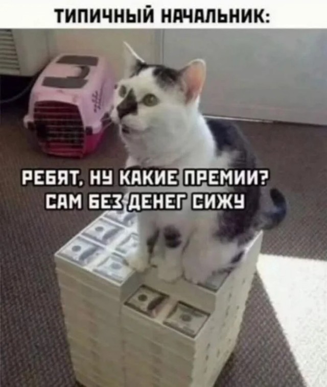 Пятницы картинки