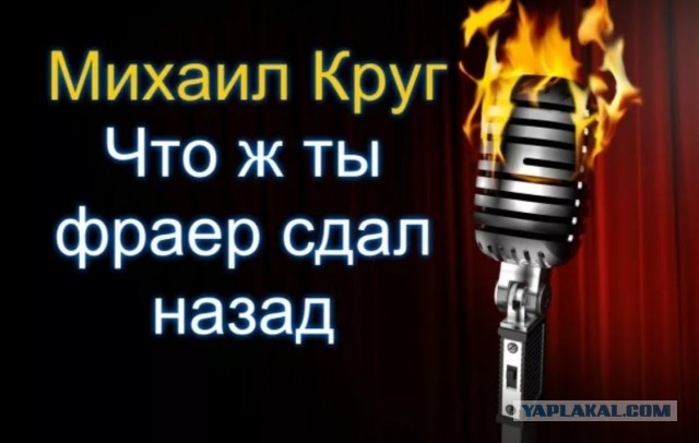 Мадам пропустила поворот, решила сдать назад.