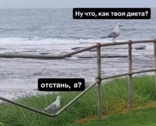 Субботние картинки
