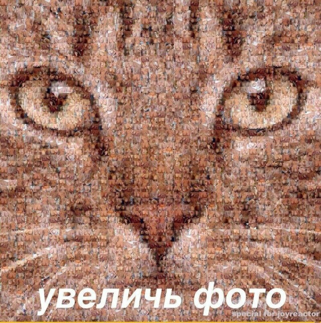 Оригинальные картины