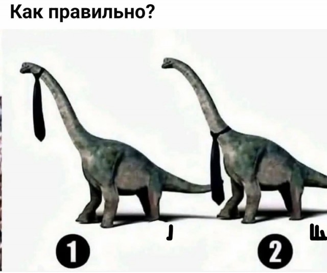 Картиночки, баянчики 06 июня