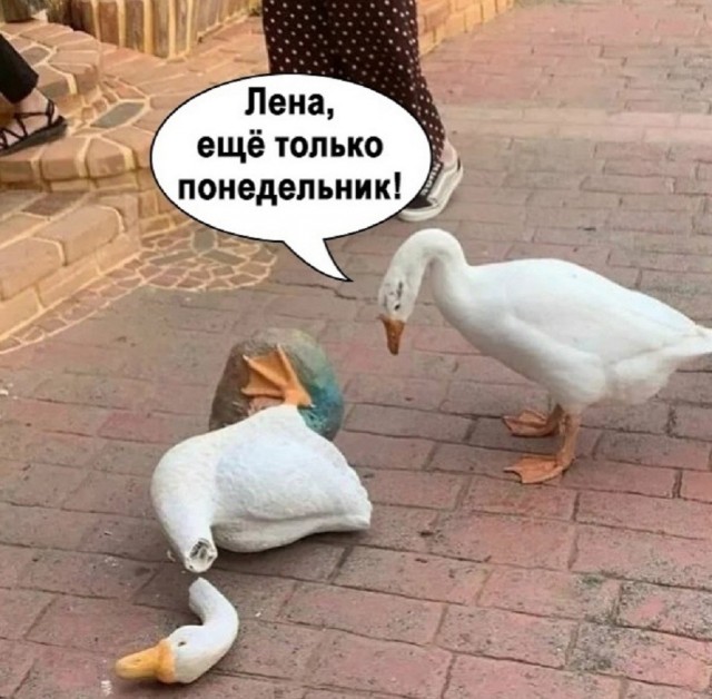 Так себе картинки 20.07.26