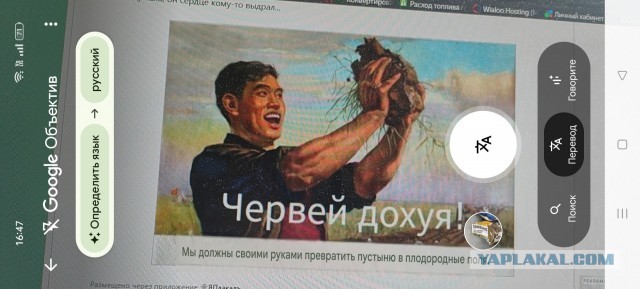 Картинки для деградации 291 (разной степени свежести)