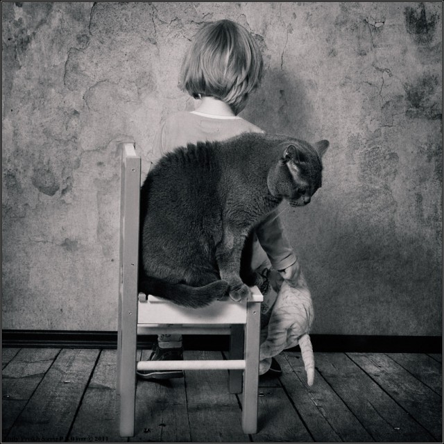 Необычный фотоальбом 4-летней японки