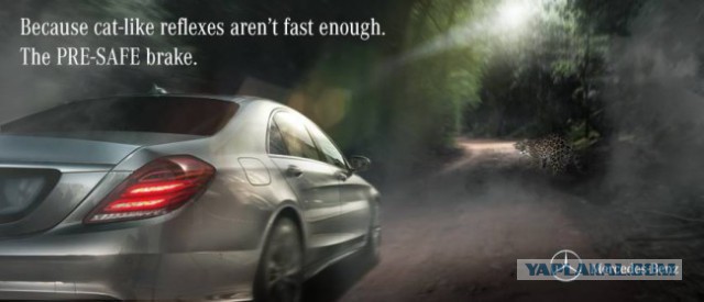 Jaguar vs Merсedes