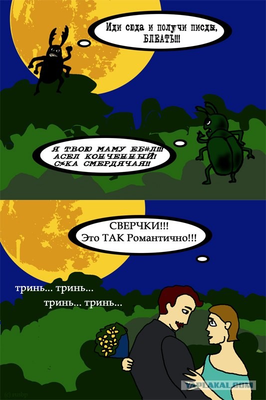 Нравы Насекомых