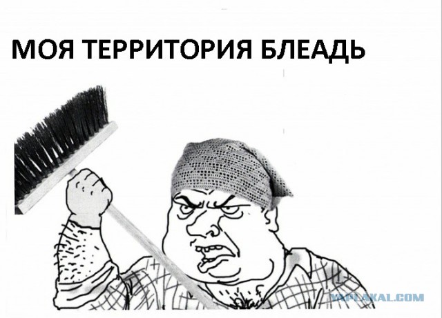 У шанхайских мойщиков окон стальные яйца