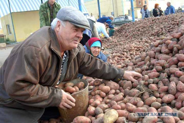 Все в дом, все в семью...