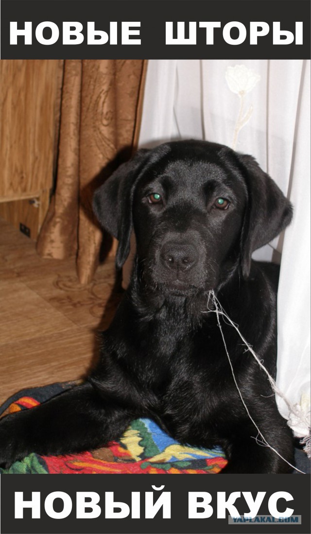 Воскресная подборка картинок