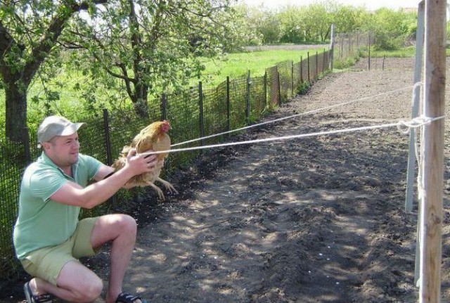 Дачные приколы