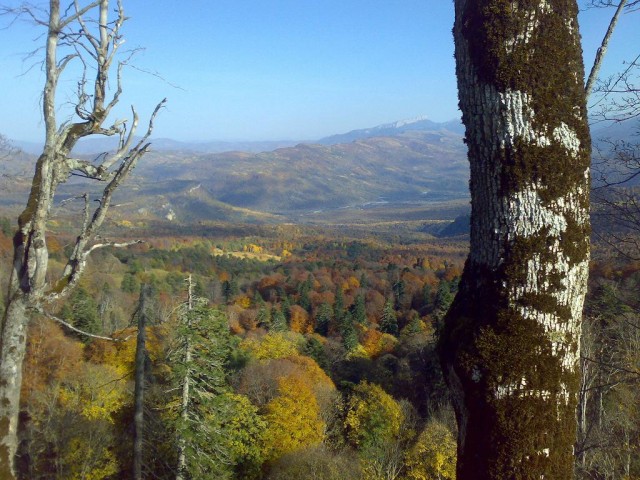 Осень на Демерджи