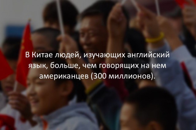 40 интересных фактов в картинках.