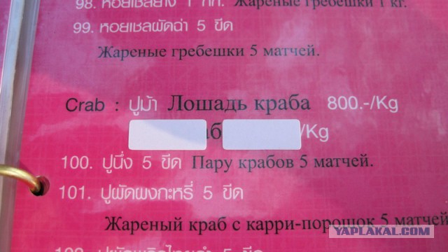 Объявления для русских туристов за границей
