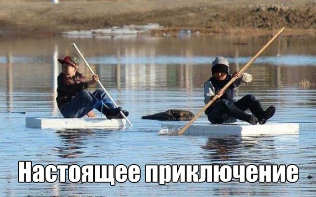 Подборка безудержного веселья