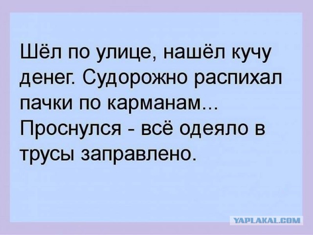 В асоциальных сетях всегда весело