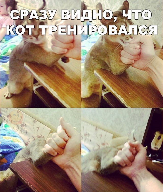 Нестандартный юмор