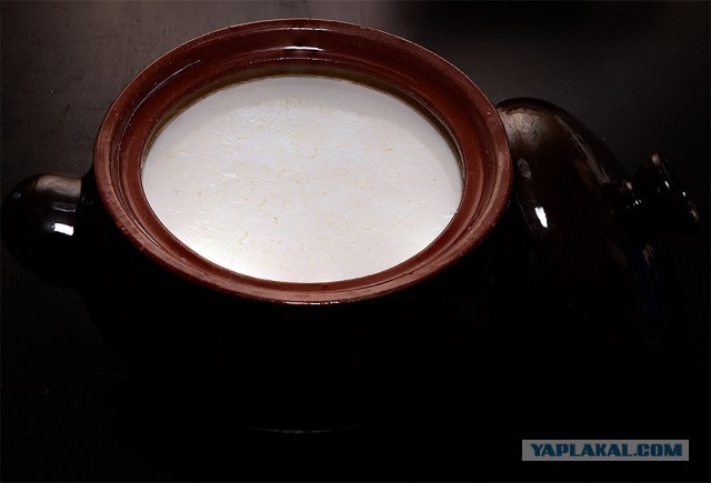 Кулинары поздравляют ЯП с днём рождения!