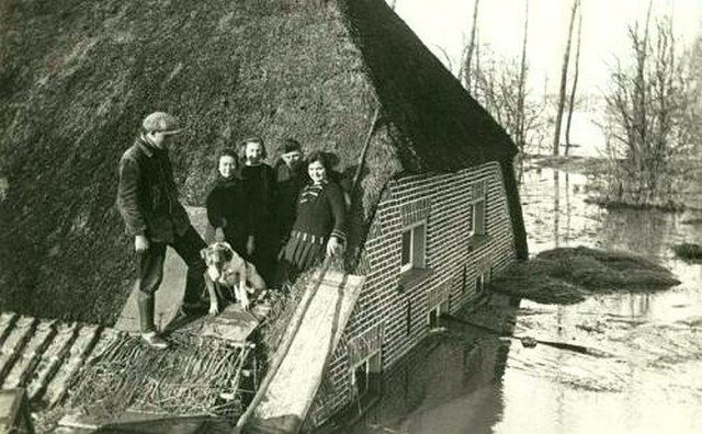 Ретро-Foto-Ассорти