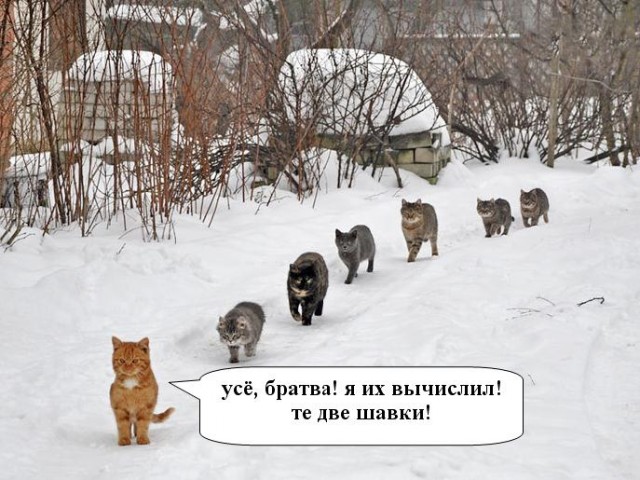 Последний бой.