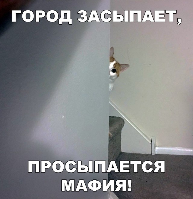 Немного милоты