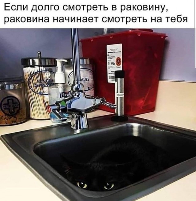 Подборка интересных и веселых картинок 16.01.19
