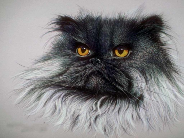 Рисованные киски