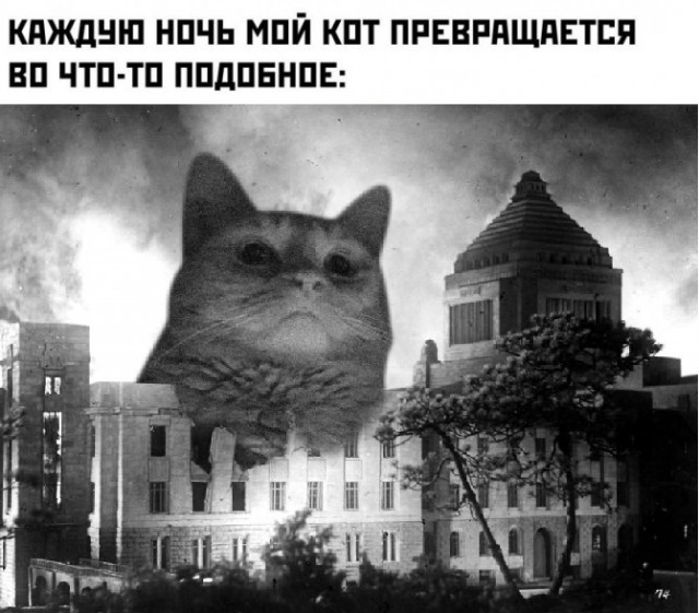 Немного картинок для настроения