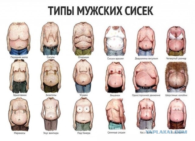 Глаза все выдали: чем привлекает грудь