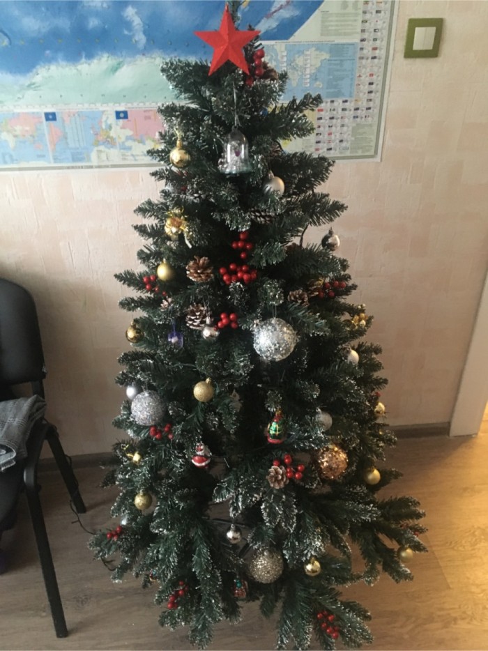 Хвастаемся своими елками!