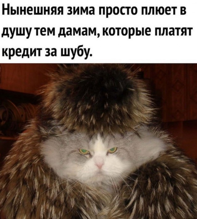 Картинки с надписями, истории и анекдоты 03.01.20