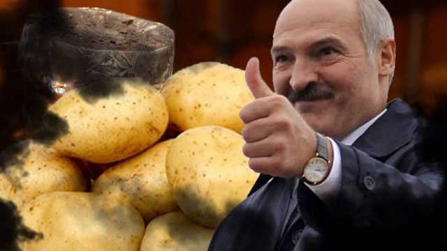 Экзитпол: Лукашенко набирает 79,7%