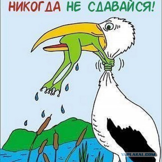 Мужские кризисы