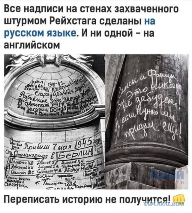 Фотки и картинки: юморные и красивые, забавные и милые 13.11.20