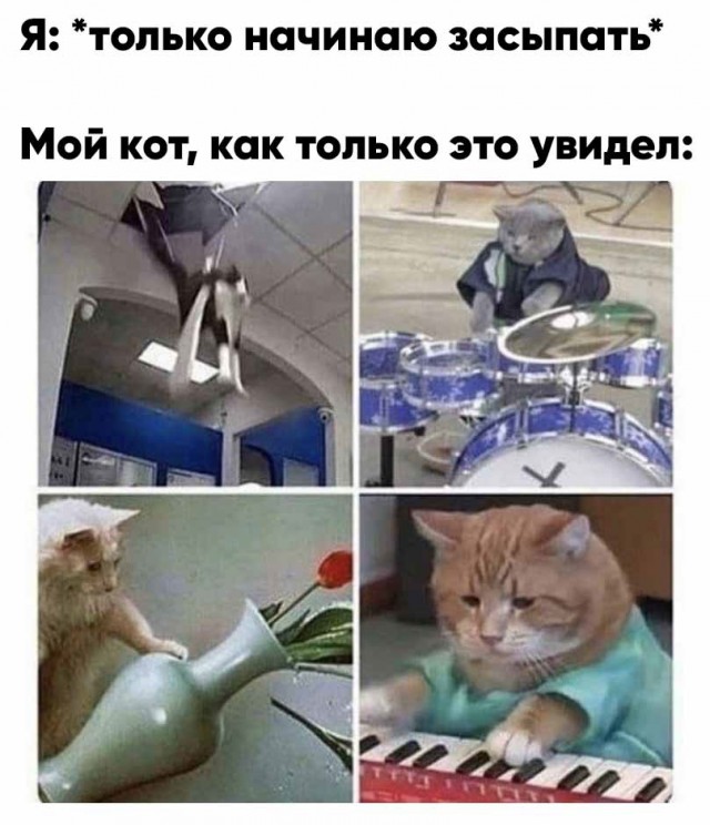 Опять 25, но не 25