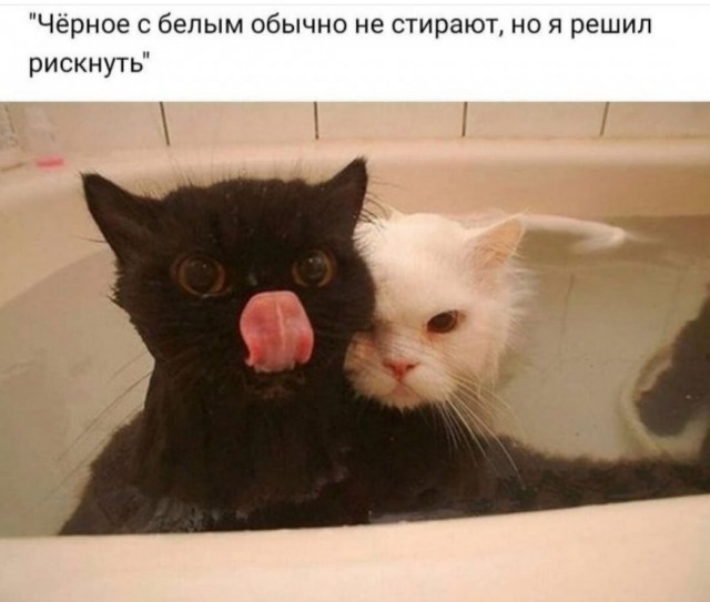 Картинки с надписями и всякие жизненные фразы