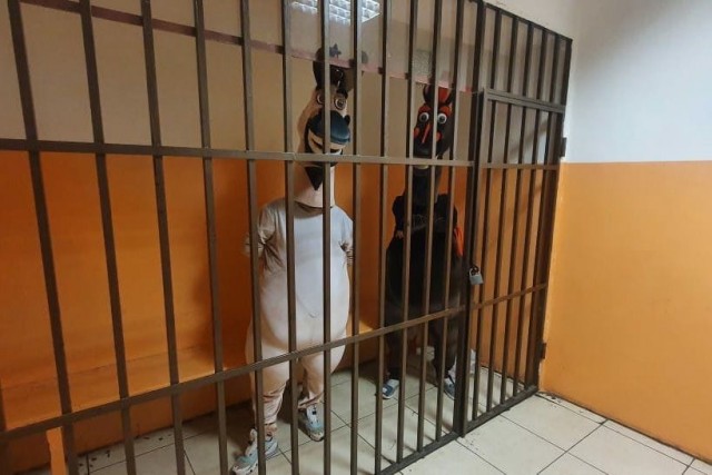Сочинские полицейские задержали зазывал в костюмах животных