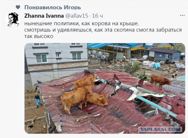 Тут что-то не так