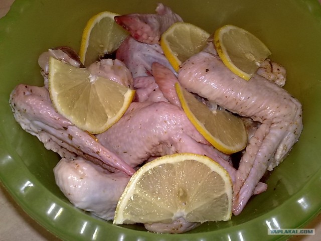 Ноги, хвосты… главное – крылья!, Кура-International–2, куриные крылья