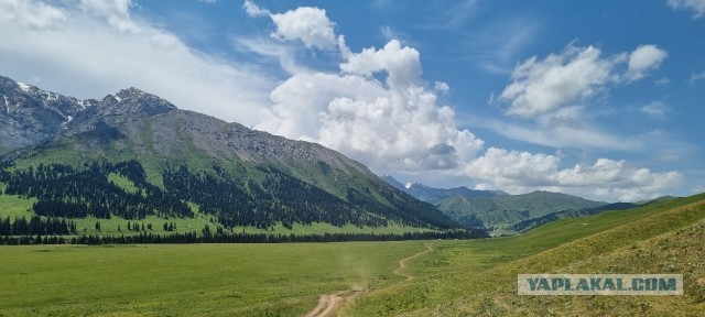 Кулинарная общалка