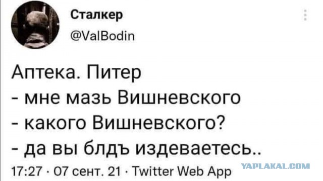 Актуальная шутка